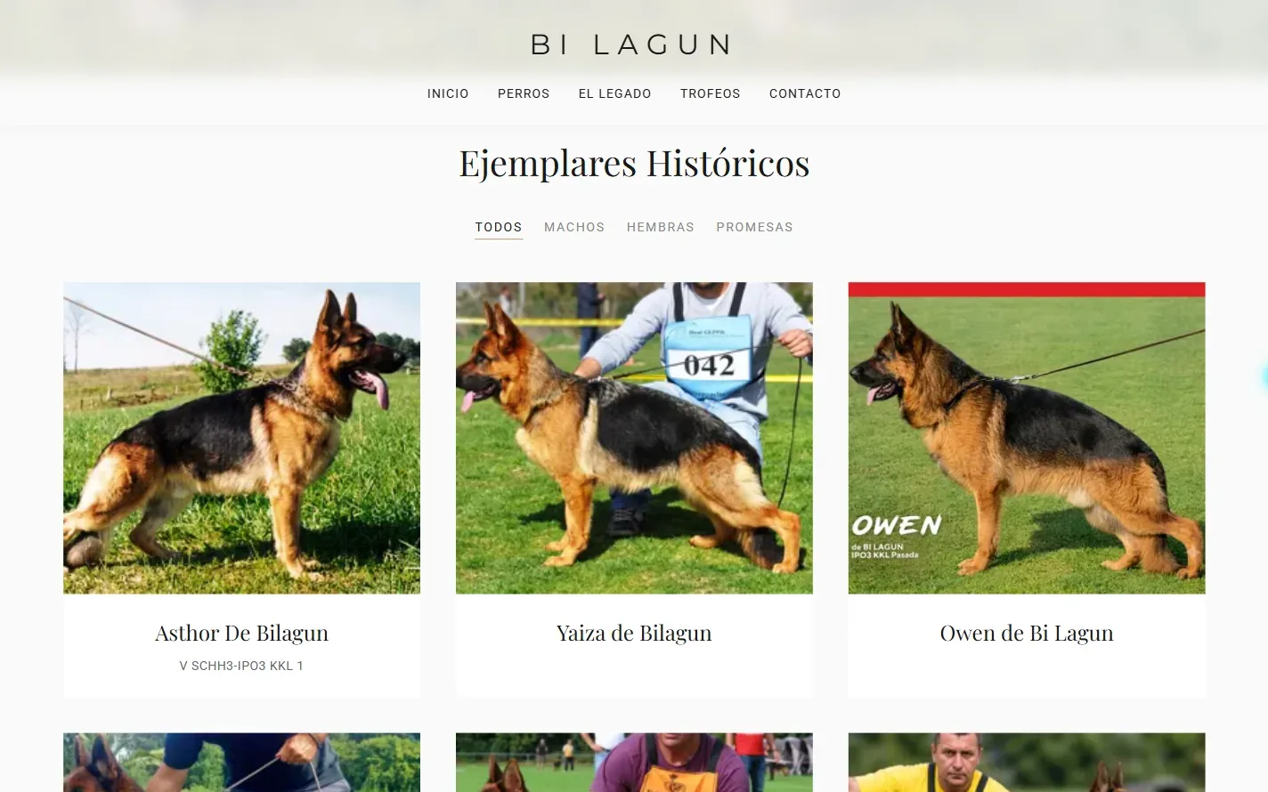 Rejilla de perros de De Bi Lagun con filtros