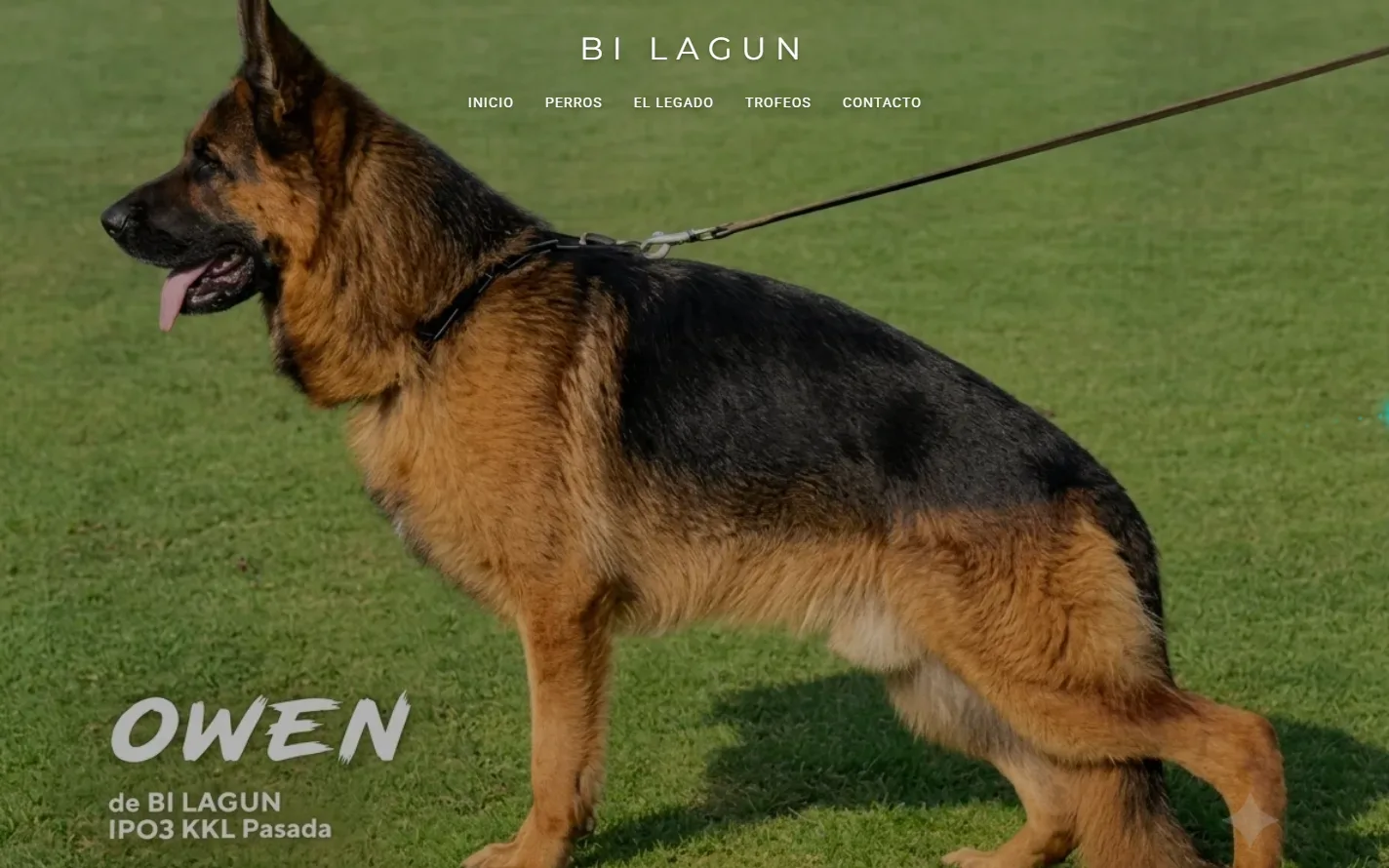 Portada de la web de De Bi Lagun con un pastor alemán de la línea Bi Lagun